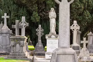 THE SECONDARY CIRCLE OF VAULTS AT GLASNEVIN CEMETERY [PHOTOGRAPHED USING THE NEW SONY 100MM MACRO LENS]-260330-1