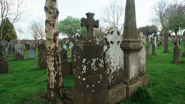 GLASNEVIN CEMETERY APRIL 2024