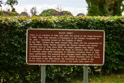 THE BLACK ABBEY AS IT WAS IN JULY 2009 [TULLY COUNTY KILDARE] X-235037-1