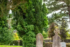 THE BLACK ABBEY AS IT WAS IN JULY 2009 [TULLY COUNTY KILDARE] X-235041-1