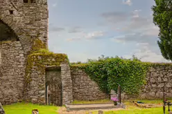 THE BLACK ABBEY AS IT WAS IN JULY 2009 [TULLY COUNTY KILDARE] X-235044-1