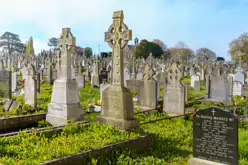 A FEW OF THE MANY CELTIC CROSSES IN MOUNT ST LAWRENCE CEMETERY [LIMERICK APRIL 2022]-244663-1