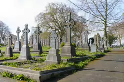 A FEW OF THE MANY CELTIC CROSSES IN MOUNT ST LAWRENCE CEMETERY [LIMERICK APRIL 2022]-244666-1