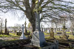 A FEW OF THE MANY CELTIC CROSSES IN MOUNT ST LAWRENCE CEMETERY [LIMERICK APRIL 2022]-244669-1