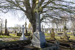 A FEW OF THE MANY CELTIC CROSSES IN MOUNT ST LAWRENCE CEMETERY [LIMERICK APRIL 2022]-244669