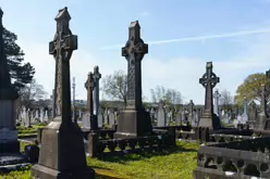 A FEW OF THE MANY CELTIC CROSSES IN MOUNT ST LAWRENCE CEMETERY [LIMERICK APRIL 2022]-244670-1