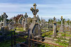 80 RANDOM IMAGES OF MOUNT ST LAWRENCE CEMETERY IN LIMERICK [THERE ARE ABOUT SEVENTY THOUSAND BURIED HERE]-244765-1