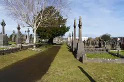 80 RANDOM IMAGES OF MOUNT ST LAWRENCE CEMETERY IN LIMERICK [THERE ARE ABOUT SEVENTY THOUSAND BURIED HERE]-244774-1