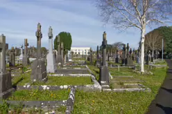 80 RANDOM IMAGES OF MOUNT ST LAWRENCE CEMETERY IN LIMERICK [THERE ARE ABOUT SEVENTY THOUSAND BURIED HERE]-244776-1