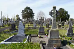 80 RANDOM IMAGES OF MOUNT ST LAWRENCE CEMETERY IN LIMERICK [THERE ARE ABOUT SEVENTY THOUSAND BURIED HERE]-244777-1