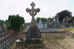 MOUNT ST LAWRENCE CEMETERY IN LIMERICK [2016 LEGACY PHOTO COLLECTION]-244541-1