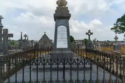 MOUNT ST LAWRENCE CEMETERY IN LIMERICK [2016 LEGACY PHOTO COLLECTION]-244545-1