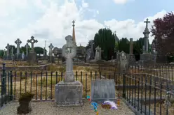 MOUNT ST LAWRENCE CEMETERY IN LIMERICK [2016 LEGACY PHOTO COLLECTION]-244553-1