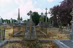 MOUNT ST LAWRENCE CEMETERY IN LIMERICK [2016 LEGACY PHOTO COLLECTION]-244554-1