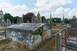 MOUNT ST LAWRENCE CEMETERY IN LIMERICK [2016 LEGACY PHOTO COLLECTION]-244555-1