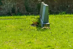 THE CEMETERY AT ST PATRICKS PONTIFICAL UNIVERSITY [31 JULY 2024]-237646-1