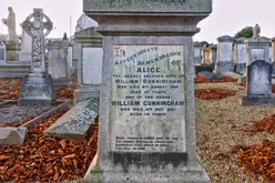 MOUNT JEROME CEMETERY [AS IT WAS IN DECEMBER 2014]-234489-1 Nestled in the Harold's Cross neighbourhood of Dublin, Mount Jerome Cemetery is a sprawling Victorian necropolis with a rich and layered history. Founded in...