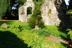 STACGORY CHURCH RUINS [A GLIMPSE INTO PALMERSTOWN'S PAST]-242911-1