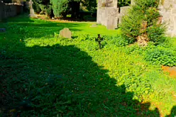 STACGORY CHURCH RUINS [A GLIMPSE INTO PALMERSTOWN'S PAST]-242912-1