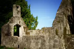 STACGORY CHURCH RUINS [A GLIMPSE INTO PALMERSTOWN'S PAST]-242913-1