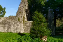 STACGORY CHURCH RUINS [A GLIMPSE INTO PALMERSTOWN'S PAST]-242914-1