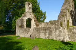 STACGORY CHURCH RUINS [A GLIMPSE INTO PALMERSTOWN'S PAST]-242915-1