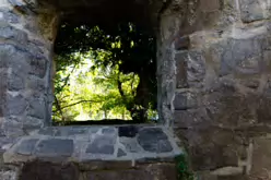 STACGORY CHURCH RUINS [A GLIMPSE INTO PALMERSTOWN'S PAST]-242918-1