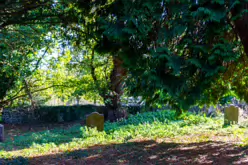 STACGORY CHURCH RUINS [A GLIMPSE INTO PALMERSTOWN'S PAST]-242919-1