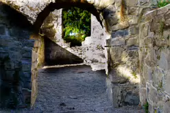 STACGORY CHURCH RUINS [A GLIMPSE INTO PALMERSTOWN'S PAST]-242920-1