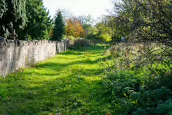 STACGORY CHURCH RUINS [A GLIMPSE INTO PALMERSTOWN'S PAST]-242923-1