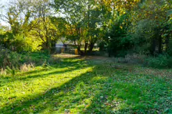 STACGORY CHURCH RUINS [A GLIMPSE INTO PALMERSTOWN'S PAST]-242924-1