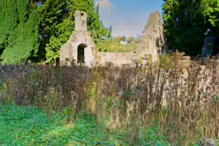 STACGORY CHURCH RUINS [A GLIMPSE INTO PALMERSTOWN'S PAST]-242925-1