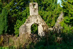 STACGORY CHURCH RUINS [A GLIMPSE INTO PALMERSTOWN'S PAST]-242929-1