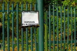 STACGORY CHURCH RUINS [A GLIMPSE INTO PALMERSTOWN'S PAST]-242930-1