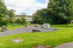 SAINT CONLETH'S STATUE AND GARDEN [NAAS ROAD NEWBRIDGE COUNTY KILDARE]-238502-1