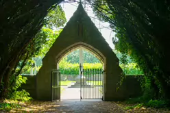 THE ENTRANCE TO ST. PATRICK'S CEMETERY AT MAYNOOTH UNIVERSITY [FEATURING A SHADED TUNNEL OF INTERLOCKING YEW TREES]-237732-1