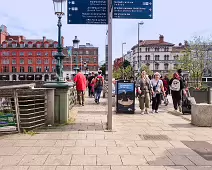 THE SEAGULL WERE VERY AGGRESSIVE TODAY [GRATTAN BRIDGE AREA 19 JULY 2024]-236756-1