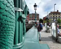 THE SEAGULL WERE VERY AGGRESSIVE TODAY [GRATTAN BRIDGE AREA 19 JULY 2024]-236757-1