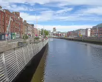 THE SEAGULL WERE VERY AGGRESSIVE TODAY [GRATTAN BRIDGE AREA 19 JULY 2024]-236758-1