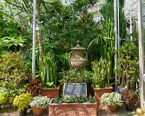 THE MAIN GLASSHOUSE AT BELFAST BOTANIC GARDENS [PHOTOGRAPHED MAY 2017]-235411-1 THE MAIN GLASSHOUSE