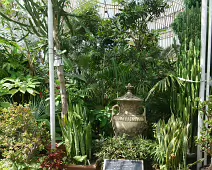 THE MAIN GLASSHOUSE AT BELFAST BOTANIC GARDENS [PHOTOGRAPHED MAY 2017]-235412-1 THE MAIN GLASSHOUSE