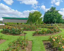 THE BELFAST BOTANIC GARDENS [PHOTOGRAPHED MAY 2017]-235419-1