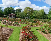 THE BELFAST BOTANIC GARDENS [PHOTOGRAPHED MAY 2017]-235420-1