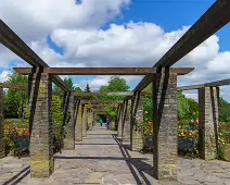 THE BELFAST BOTANIC GARDENS [PHOTOGRAPHED MAY 2017]-235421-1