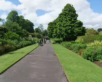 THE BELFAST BOTANIC GARDENS [PHOTOGRAPHED MAY 2017]-235423-1