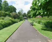 THE BELFAST BOTANIC GARDENS [PHOTOGRAPHED MAY 2017]-235425-1