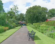 THE BELFAST BOTANIC GARDENS [PHOTOGRAPHED MAY 2017]-235426-1