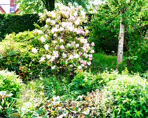 THE BELFAST BOTANIC GARDENS [PHOTOGRAPHED MAY 2017]-235427-1