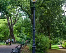 THE BELFAST BOTANIC GARDENS [PHOTOGRAPHED MAY 2017]-235438-1