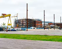 THE DOMINATING CRANES OF BELFAST [SAMSON AND GOLIATH]-235500-1